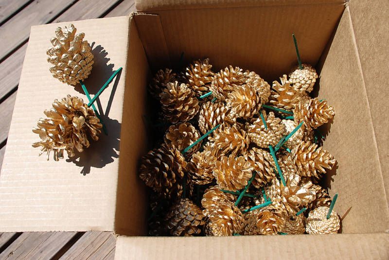 Preserved FlowersCase(100 pc).Small Pine ConesGold  