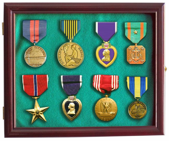 Lapel Pin Medal Buttons Patches Ribbon Display Case, with door, Wall 